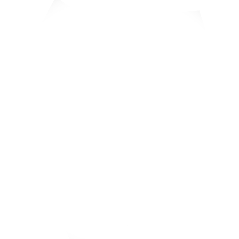 Light Logo